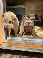 processed/f857a35f-a2db-4894-9609-5e60acbea6d5/listing/538d4dc7-c043-418a-bc44-5a9d680871e8/42ac5b47-3833-45e9-a746-78631ad4c5d4