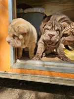 processed/f857a35f-a2db-4894-9609-5e60acbea6d5/listing/538d4dc7-c043-418a-bc44-5a9d680871e8/931a6135-4043-47ad-afd6-f08c3f9c3191