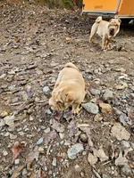 processed/f857a35f-a2db-4894-9609-5e60acbea6d5/listing/538d4dc7-c043-418a-bc44-5a9d680871e8/b034ff72-e754-4e19-9af7-07d718c62782