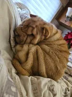 processed/f857a35f-a2db-4894-9609-5e60acbea6d5/listing/55bb78f8-f160-4c14-b8e6-769ca0e0e6bd/397bab89-661a-460d-b730-9b8bd93a4197