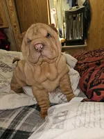 processed/f857a35f-a2db-4894-9609-5e60acbea6d5/listing/55bb78f8-f160-4c14-b8e6-769ca0e0e6bd/4ae95417-da15-4414-bda8-61458494f3ca