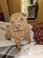 processed/f857a35f-a2db-4894-9609-5e60acbea6d5/listing/55bb78f8-f160-4c14-b8e6-769ca0e0e6bd/abd914f4-e47a-442a-a29a-c47b15cdfca0