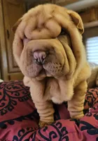 processed/f857a35f-a2db-4894-9609-5e60acbea6d5/listing/55bb78f8-f160-4c14-b8e6-769ca0e0e6bd/f39bec0c-1490-43f5-9014-0609b8a2c7f4