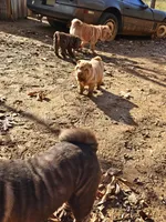 processed/f857a35f-a2db-4894-9609-5e60acbea6d5/listing/5bc2de75-a7dd-4f6f-8df7-6f1010964c8a/1e4cc2c3-1768-4bb4-82ce-5af943ff7b6f