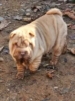 processed/f857a35f-a2db-4894-9609-5e60acbea6d5/listing/5bc2de75-a7dd-4f6f-8df7-6f1010964c8a/348143d6-ab27-4f0e-8205-985b12c0700e