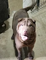 processed/f857a35f-a2db-4894-9609-5e60acbea6d5/listing/5c3ea0e2-3f33-4fe1-a466-b8277dce47cb/2d06b4ed-aa67-46f9-80cc-39325661a4e2