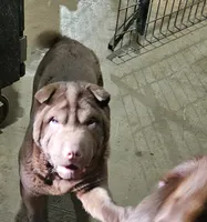 processed/f857a35f-a2db-4894-9609-5e60acbea6d5/listing/5c3ea0e2-3f33-4fe1-a466-b8277dce47cb/386ddffe-3924-4a59-92fe-52926f4521c3