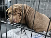 processed/f857a35f-a2db-4894-9609-5e60acbea6d5/listing/5c3ea0e2-3f33-4fe1-a466-b8277dce47cb/4d8b6eb4-f603-4652-80b9-fb4ada9c0dde