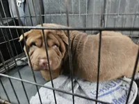 processed/f857a35f-a2db-4894-9609-5e60acbea6d5/listing/5c3ea0e2-3f33-4fe1-a466-b8277dce47cb/587e7baf-e491-485e-9a42-f601c81cabd9