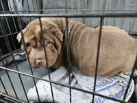 processed/f857a35f-a2db-4894-9609-5e60acbea6d5/listing/5c3ea0e2-3f33-4fe1-a466-b8277dce47cb/7479e22b-66eb-4289-8703-3f98ec04afba