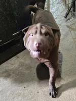 processed/f857a35f-a2db-4894-9609-5e60acbea6d5/listing/5c3ea0e2-3f33-4fe1-a466-b8277dce47cb/9155f118-5c2b-4f8c-b958-32fe3bc78055