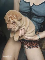 processed/f857a35f-a2db-4894-9609-5e60acbea6d5/listing/63b00905-4f5a-4d9e-89ca-1818a03c3876/41de7df5-78cc-48ff-9c75-2cec735e5e15