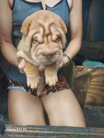 processed/f857a35f-a2db-4894-9609-5e60acbea6d5/listing/63b00905-4f5a-4d9e-89ca-1818a03c3876/43f23c4f-b0c8-4243-9b9f-a7d6c4beebff