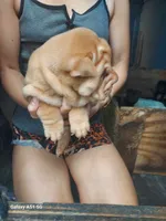 processed/f857a35f-a2db-4894-9609-5e60acbea6d5/listing/63b00905-4f5a-4d9e-89ca-1818a03c3876/70145e5b-a412-4fd6-a92c-9266a666f5a1