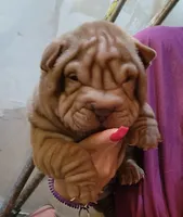 processed/f857a35f-a2db-4894-9609-5e60acbea6d5/listing/691acaab-f1cf-4db2-8b9e-8834978814b2/4b91d990-ec39-4c2e-98bf-2d3519a8efb8