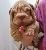 processed/f857a35f-a2db-4894-9609-5e60acbea6d5/listing/691acaab-f1cf-4db2-8b9e-8834978814b2/6cc9950b-b93a-4a5a-b20f-71b5cd480b91