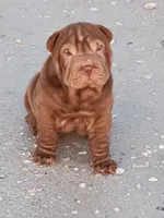 processed/f857a35f-a2db-4894-9609-5e60acbea6d5/listing/691acaab-f1cf-4db2-8b9e-8834978814b2/d7d11520-cb5a-4c06-abdb-d48d30464638