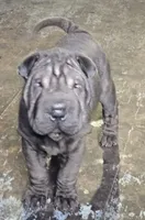 processed/f857a35f-a2db-4894-9609-5e60acbea6d5/listing/8cbc288a-0749-4154-9ff7-1541a3f8633d/22fe7b47-213d-42aa-b2e2-0672e9f852c5