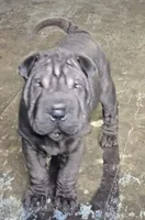 processed/f857a35f-a2db-4894-9609-5e60acbea6d5/listing/8cbc288a-0749-4154-9ff7-1541a3f8633d/54038adb-a5c8-42c1-b4d8-1a28c328af34