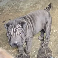 processed/f857a35f-a2db-4894-9609-5e60acbea6d5/listing/8cbc288a-0749-4154-9ff7-1541a3f8633d/7c89b7f9-219e-4cd8-acdc-2bd3d18b0502