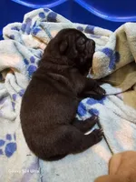 processed/f857a35f-a2db-4894-9609-5e60acbea6d5/listing/9ad9e943-8da6-4b08-85e9-32a8e675ae72/46cc305c-c8d1-4e7c-89bc-ac3f05a44425