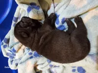 processed/f857a35f-a2db-4894-9609-5e60acbea6d5/listing/9ad9e943-8da6-4b08-85e9-32a8e675ae72/64838685-5026-4de7-b880-00d01b38eaa0