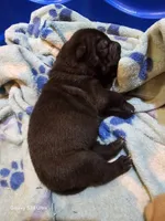 processed/f857a35f-a2db-4894-9609-5e60acbea6d5/listing/9ad9e943-8da6-4b08-85e9-32a8e675ae72/6db5bea1-1d20-444d-96f3-f1002aa6df34