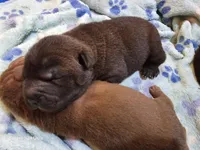 processed/f857a35f-a2db-4894-9609-5e60acbea6d5/listing/9ad9e943-8da6-4b08-85e9-32a8e675ae72/71216f8b-db27-4606-bf54-02b3e52c128c