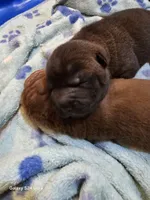 processed/f857a35f-a2db-4894-9609-5e60acbea6d5/listing/9ad9e943-8da6-4b08-85e9-32a8e675ae72/b4aad355-2ebd-4e4f-91de-8a5957f0696a