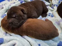 processed/f857a35f-a2db-4894-9609-5e60acbea6d5/listing/9ad9e943-8da6-4b08-85e9-32a8e675ae72/f6bcb680-b6d3-4d5f-8c6d-335a2bf25700