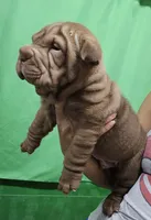 processed/f857a35f-a2db-4894-9609-5e60acbea6d5/listing/9b97db45-1d94-4d70-ab5c-f0cc3cd83e4f/34e5b5e5-5d70-45ca-bd3c-323c159aca82