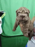 processed/f857a35f-a2db-4894-9609-5e60acbea6d5/listing/9b97db45-1d94-4d70-ab5c-f0cc3cd83e4f/68065ee1-021b-4b6e-aa3b-7400eef333ac