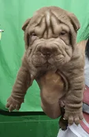 processed/f857a35f-a2db-4894-9609-5e60acbea6d5/listing/9b97db45-1d94-4d70-ab5c-f0cc3cd83e4f/85cc0243-a6c3-4153-9f52-b10142108ab4