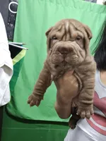 processed/f857a35f-a2db-4894-9609-5e60acbea6d5/listing/9b97db45-1d94-4d70-ab5c-f0cc3cd83e4f/87940c96-bc87-401a-a344-0da928570146