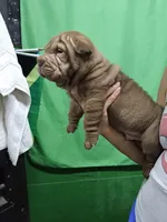 processed/f857a35f-a2db-4894-9609-5e60acbea6d5/listing/9b97db45-1d94-4d70-ab5c-f0cc3cd83e4f/8bb2808a-f342-4932-b39a-8ad8130ef771