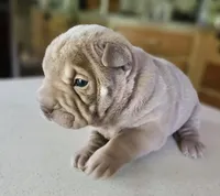 processed/f857a35f-a2db-4894-9609-5e60acbea6d5/listing/9c63b456-9f3e-494b-b4d1-8862d6cc902b/4d75e718-e5af-4553-a214-a45b9d216c5d