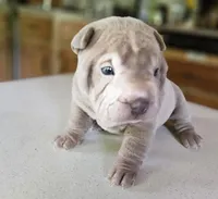 processed/f857a35f-a2db-4894-9609-5e60acbea6d5/listing/9c63b456-9f3e-494b-b4d1-8862d6cc902b/6a370e06-3fd9-48b6-ac01-19152710c24e