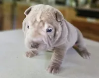 processed/f857a35f-a2db-4894-9609-5e60acbea6d5/listing/9c63b456-9f3e-494b-b4d1-8862d6cc902b/6e6b18f1-8fa2-4105-9e54-b3e598a075b7