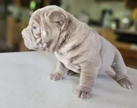 processed/f857a35f-a2db-4894-9609-5e60acbea6d5/listing/9c63b456-9f3e-494b-b4d1-8862d6cc902b/a4418941-a412-4ed6-811c-770c644d09dc