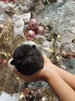 processed/f857a35f-a2db-4894-9609-5e60acbea6d5/listing/9d7c6633-5152-4b75-bf4f-6ce26a79e3e6/0be6f49a-94a5-4132-80e7-d6fa265921c2