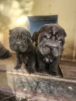 processed/f857a35f-a2db-4894-9609-5e60acbea6d5/listing/9d7c6633-5152-4b75-bf4f-6ce26a79e3e6/193dba0b-398e-4b79-ae59-1ce9974532c2