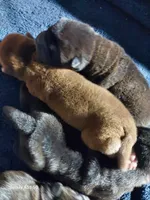 processed/f857a35f-a2db-4894-9609-5e60acbea6d5/listing/9d7c6633-5152-4b75-bf4f-6ce26a79e3e6/45484317-6530-4b6e-acc0-3c2c3ffb4271