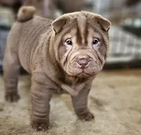 processed/f857a35f-a2db-4894-9609-5e60acbea6d5/listing/abf59998-f614-4d7d-a1e2-bc55b3bcef2c/07ace476-58b0-45f8-af7e-7a4243d81c87