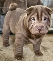 processed/f857a35f-a2db-4894-9609-5e60acbea6d5/listing/abf59998-f614-4d7d-a1e2-bc55b3bcef2c/44fd9d7a-65dd-4216-be57-2c47b037d020