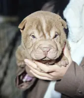 processed/f857a35f-a2db-4894-9609-5e60acbea6d5/listing/abf59998-f614-4d7d-a1e2-bc55b3bcef2c/aa205ae7-cb97-49eb-adf5-c6ae3701dbdc