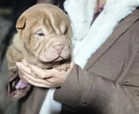 processed/f857a35f-a2db-4894-9609-5e60acbea6d5/listing/abf59998-f614-4d7d-a1e2-bc55b3bcef2c/e8e4d5ee-f3a4-46ca-9f60-c49033479dea