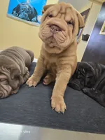 processed/f857a35f-a2db-4894-9609-5e60acbea6d5/listing/bb12e8aa-f77a-4796-9c5b-b2ceeacef84f/11584b55-7632-4daa-95ee-f70b0dd81be0