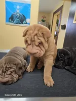 processed/f857a35f-a2db-4894-9609-5e60acbea6d5/listing/bb12e8aa-f77a-4796-9c5b-b2ceeacef84f/1d6fa197-c4b1-49d0-ac99-2885039f7b74