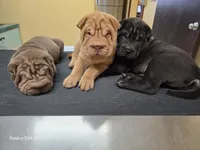 processed/f857a35f-a2db-4894-9609-5e60acbea6d5/listing/bb12e8aa-f77a-4796-9c5b-b2ceeacef84f/321641e8-b67c-44f4-b3ea-873007db88c1