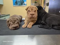 processed/f857a35f-a2db-4894-9609-5e60acbea6d5/listing/bb12e8aa-f77a-4796-9c5b-b2ceeacef84f/393e0e69-f71a-476e-b4a2-67fba4ace8eb